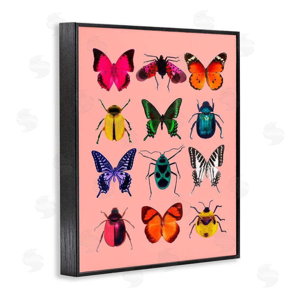 LISH Creative Colorful Bug Species on Pink Black Framed Giclee Print Wall Art