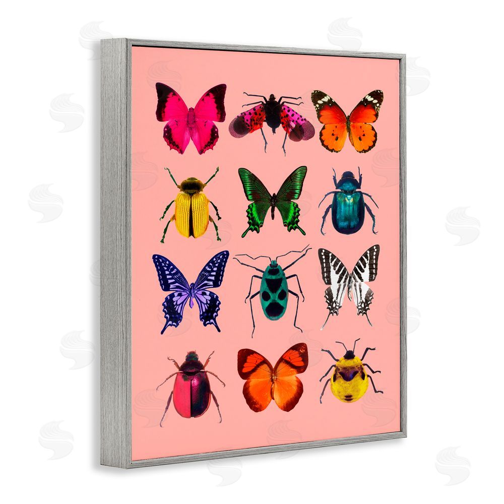 LISH Creative Colorful Bug Species on Pink Gray Framed Giclee Print Wall Art
