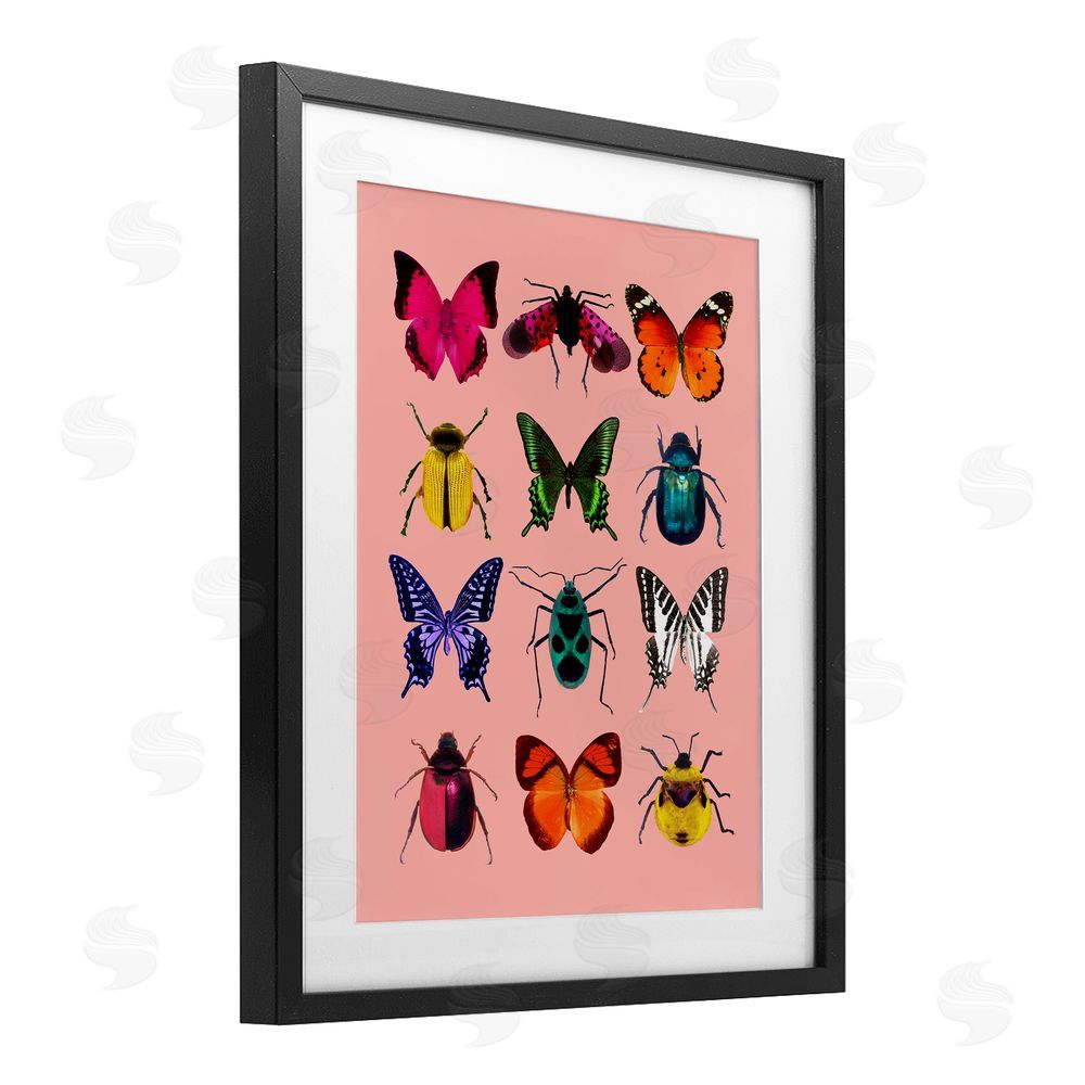 LISH Creative Colorful Bug Species on Pink Black Framed Print Under Glass Wall Art