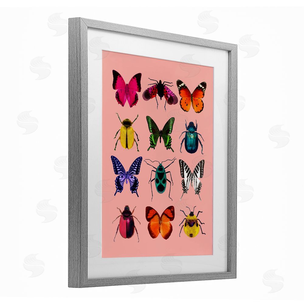 LISH Creative Colorful Bug Species on Pink Gray Framed Print Under Glass Wall Art