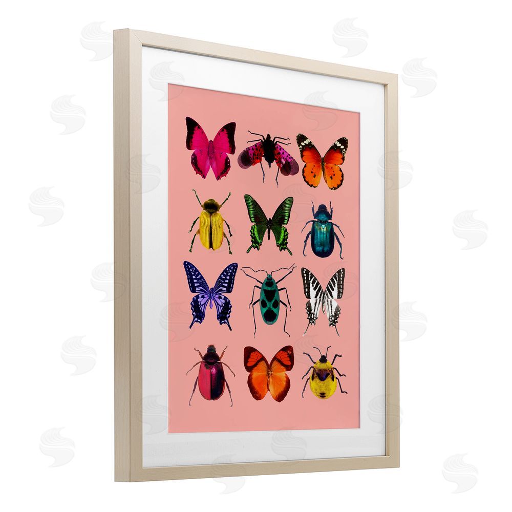 LISH Creative Colorful Bug Species on Pink Brown Framed Print Under Glass Wall Art