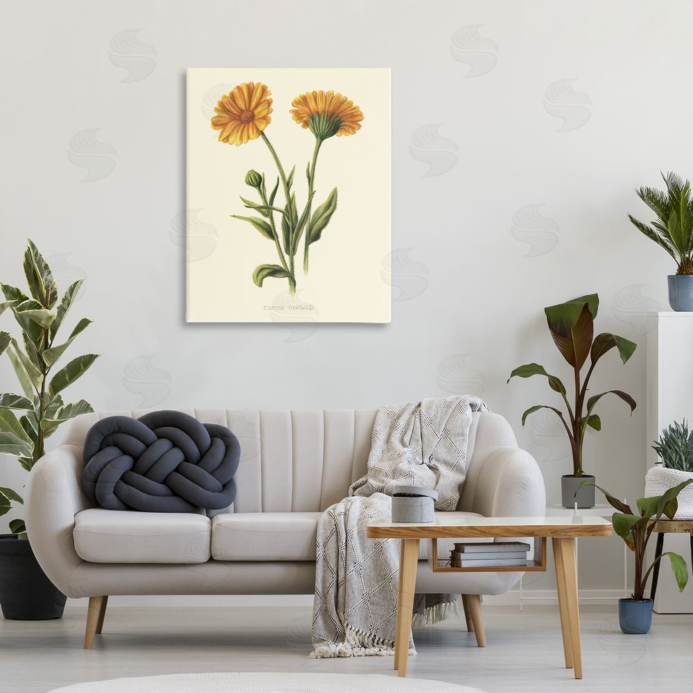 Connie Resch Twin Marigold Blooms Stretched Canvas Wall Art in Room