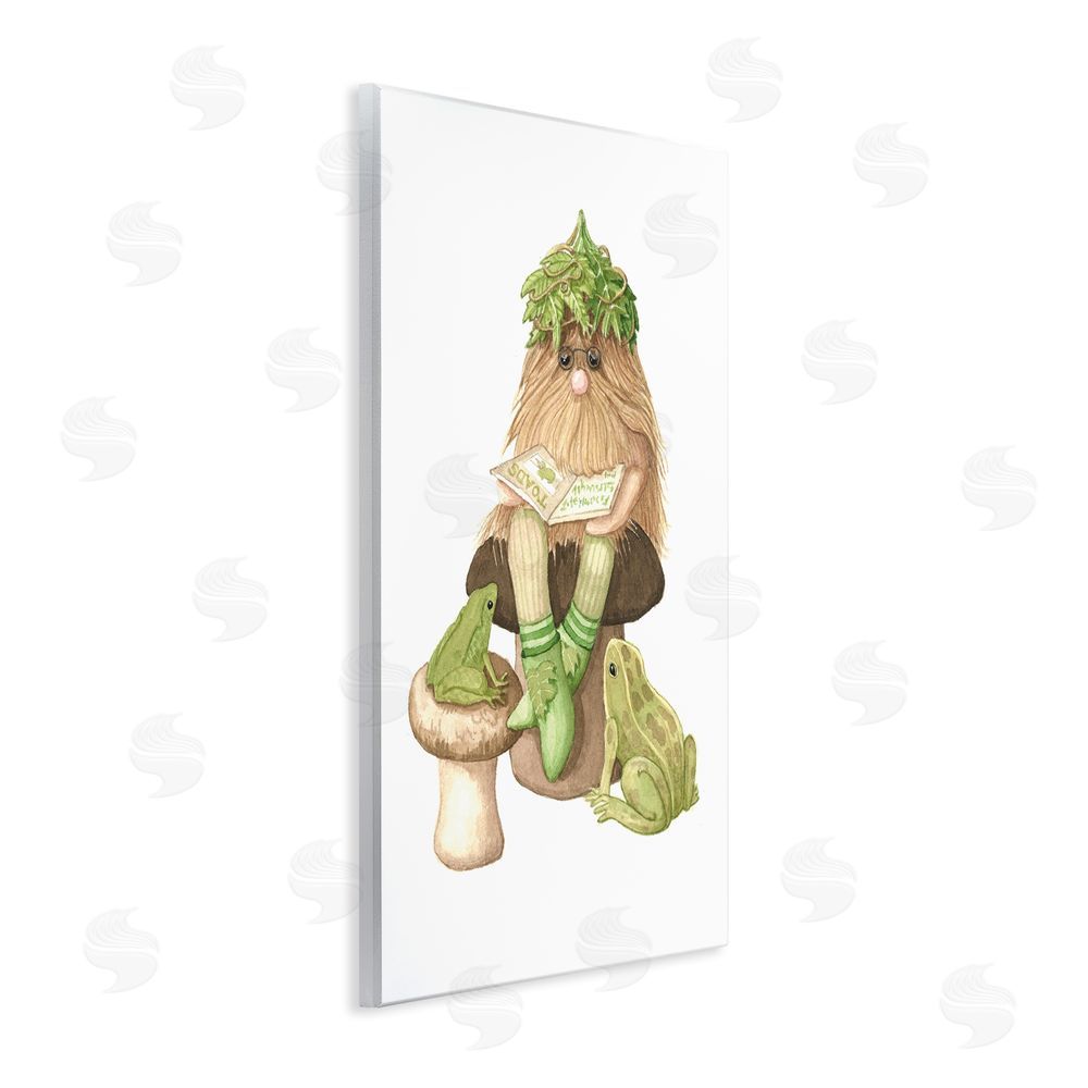 Nancy Overton Garden Elf with Frogs Wall Plaque Art Print