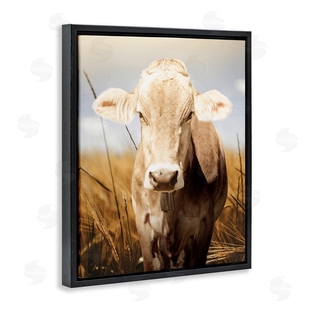 Marcus Prime Simple Belle Cow Portrait Black Floating Frame Canvas Wall Art Print