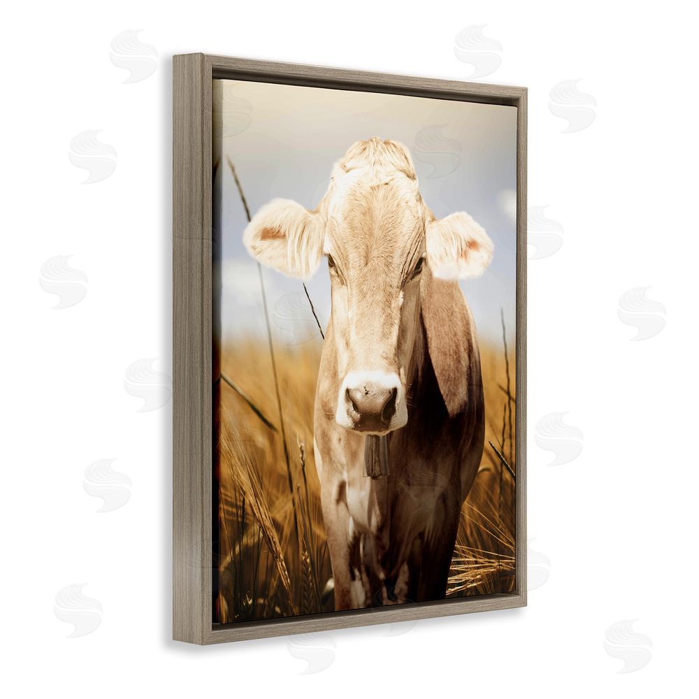 Marcus Prime Simple Belle Cow Portrait Brown Floating Frame Canvas Wall Art Print