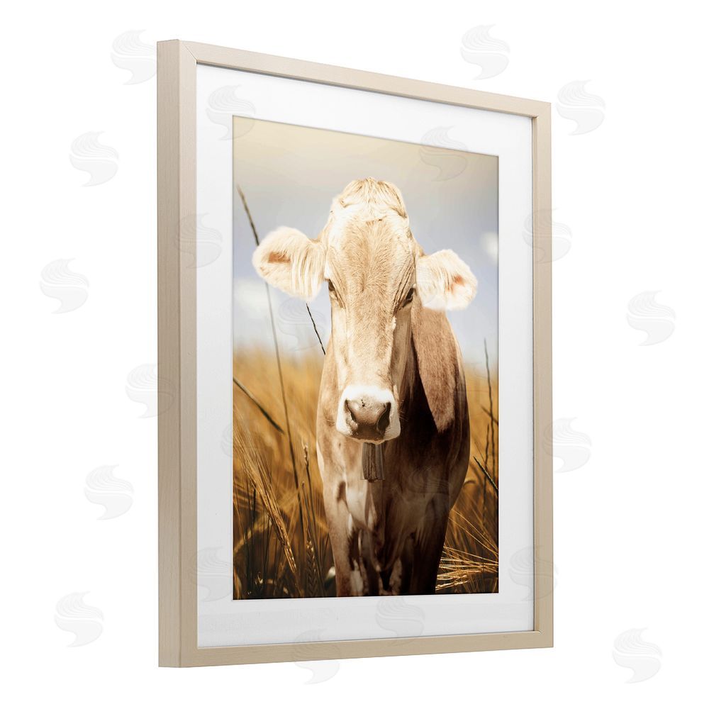 Marcus Prime Simple Belle Cow Portrait Birch Framed Print Under Glass Wall Art