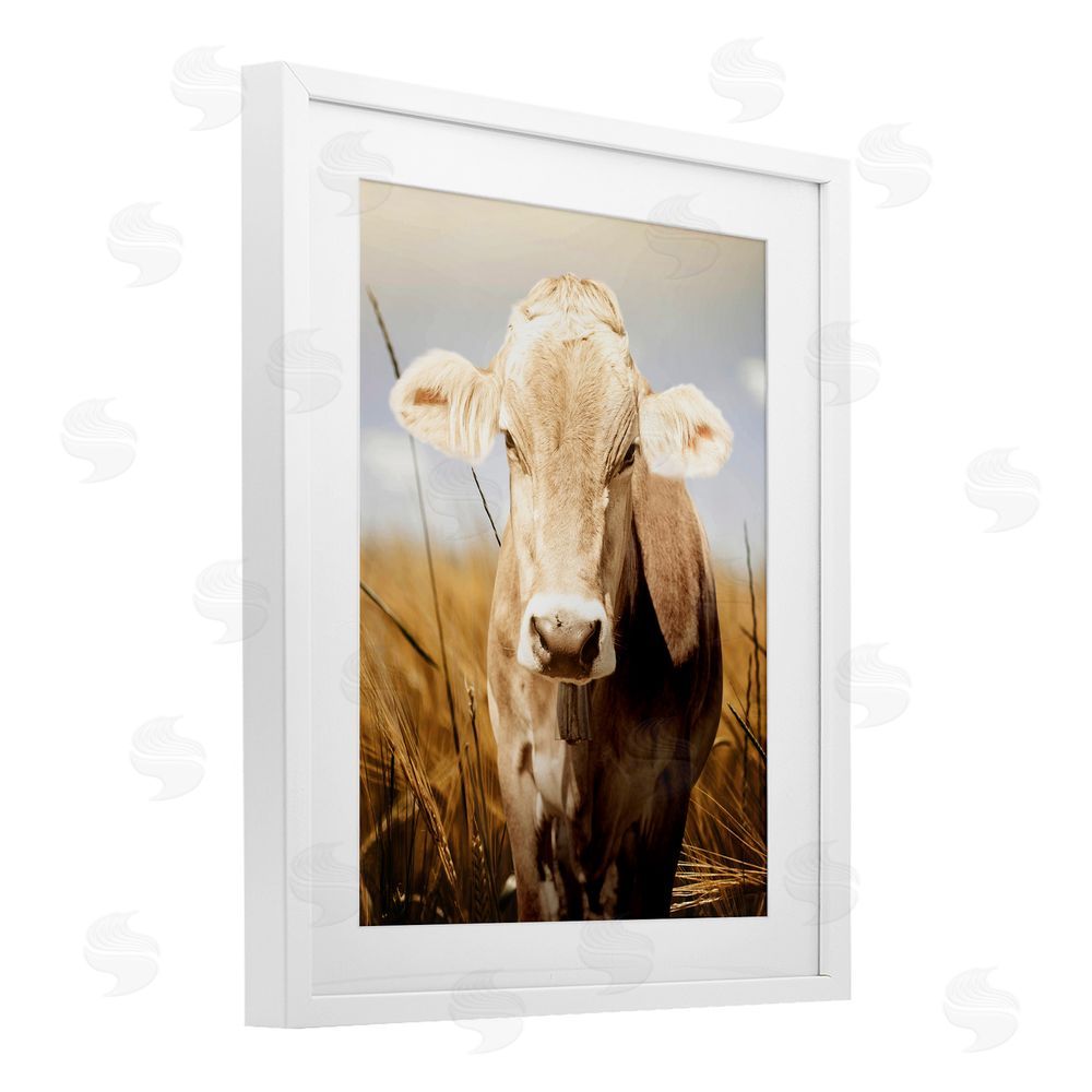Marcus Prime Simple Belle Cow Portrait White Framed Print Under Glass Wall Art