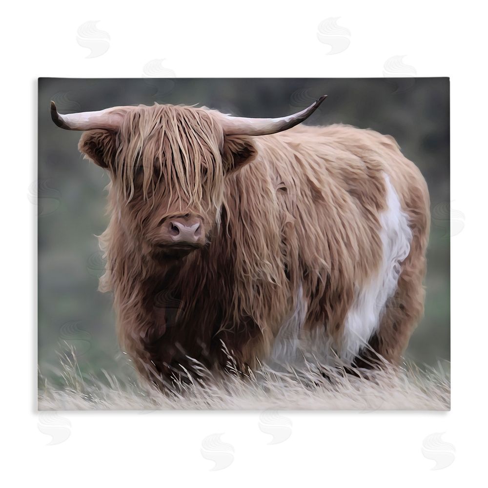 Marcus Prime Wandering Harry Highland Cattle Stretched Canvas Wall Art Print