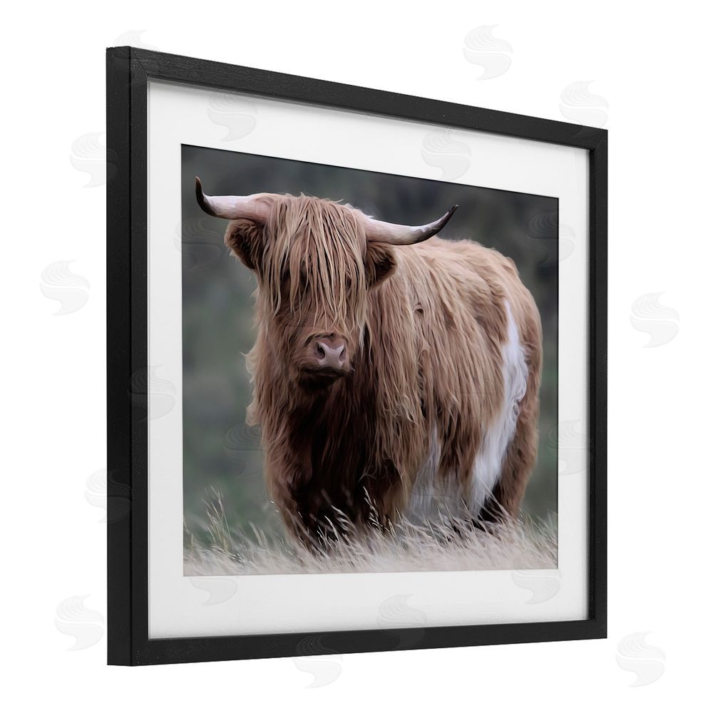 Marcus Prime Wandering Harry Highland Cattle Black Framed Print Under Glass Wall Art