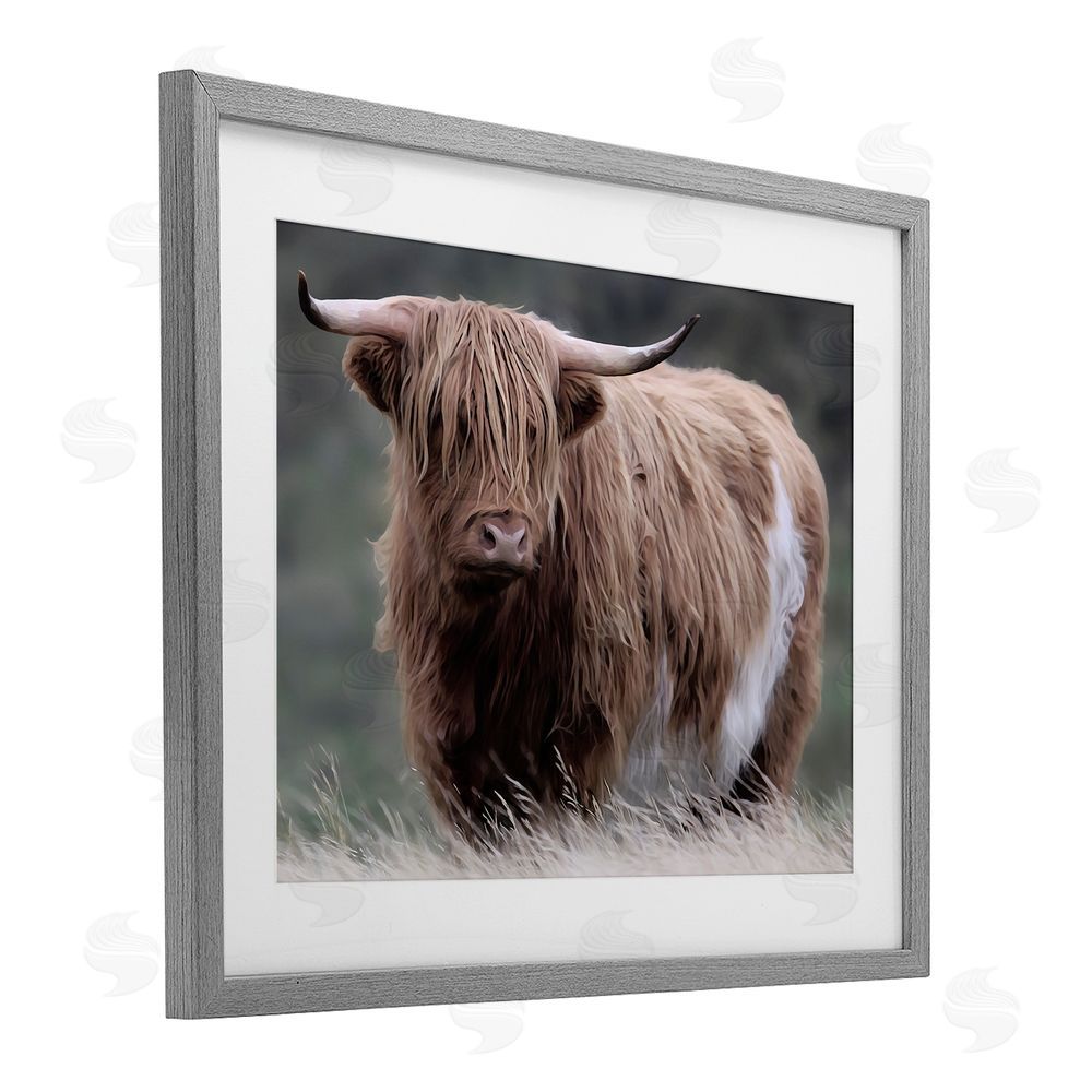 Marcus Prime Wandering Harry Highland Cattle Gray Framed Print Under Glass Wall Art