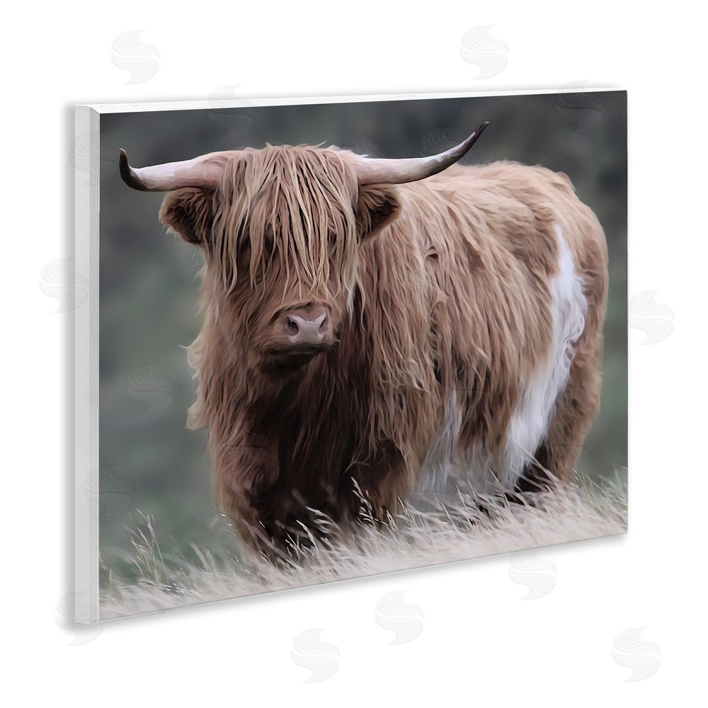 Marcus Prime Wandering Harry Highland Cattle Wall Plaque Art Print
