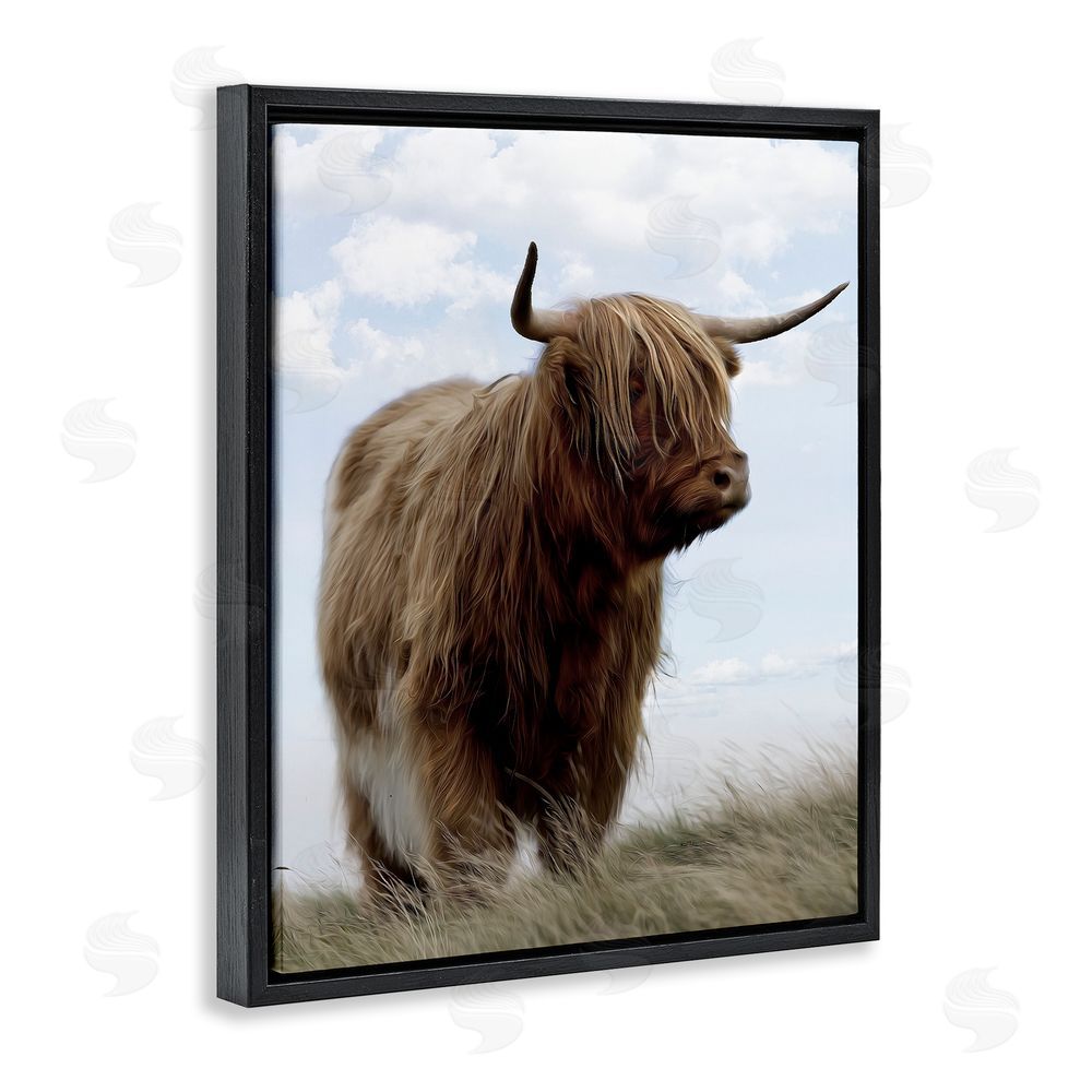 Marcus Prime Restful Look Highland Cattle Black Floating Frame Canvas Wall Art Print