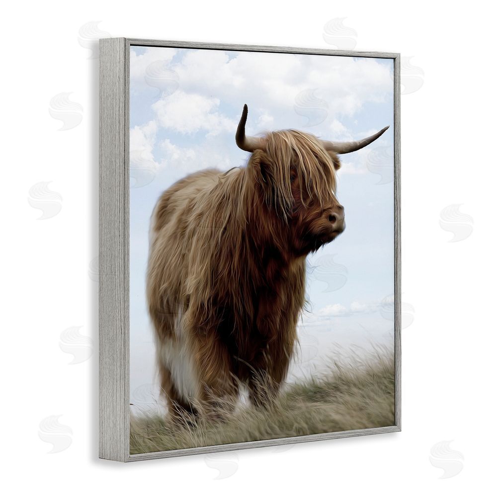 Marcus Prime Restful Look Highland Cattle Gray Framed Giclee Wall Art Print