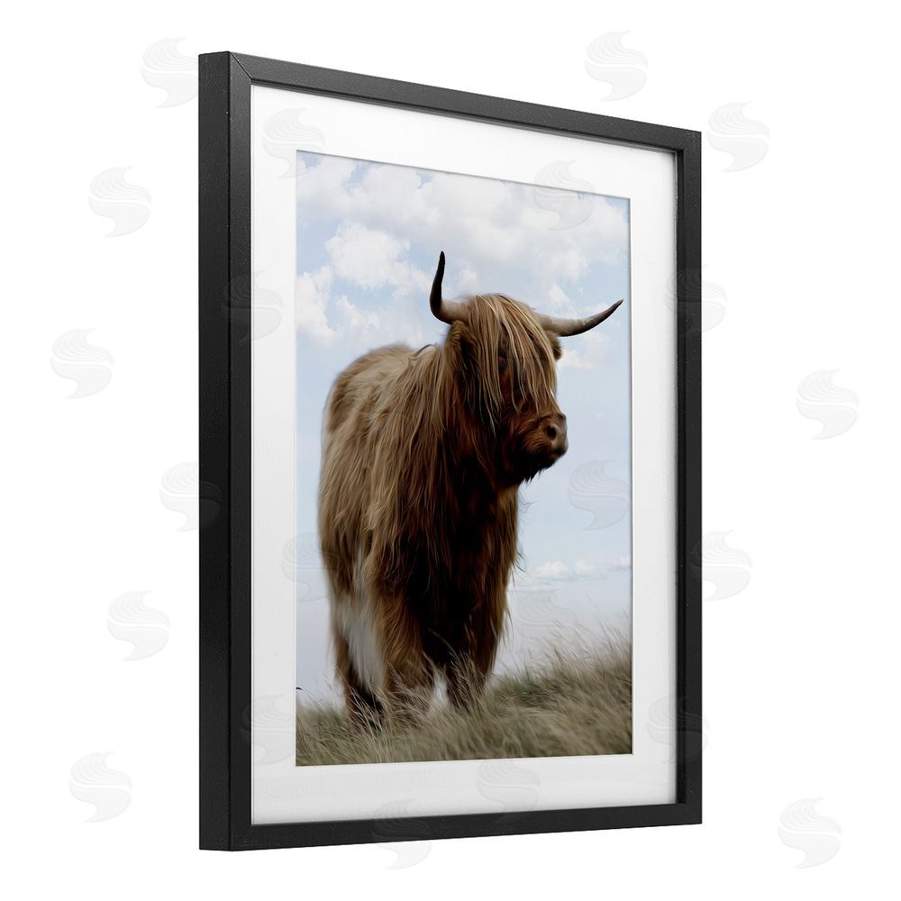 Marcus Prime Restful Look Highland Cattle Black Framed Print Under Glass Wall Art
