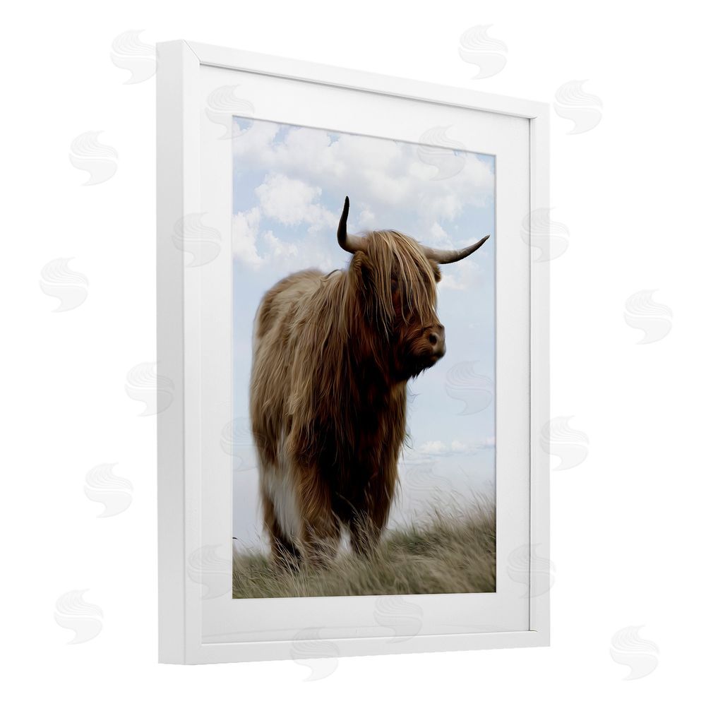 Marcus Prime Restful Look Highland Cattle White Framed Print Under Glass Wall Art