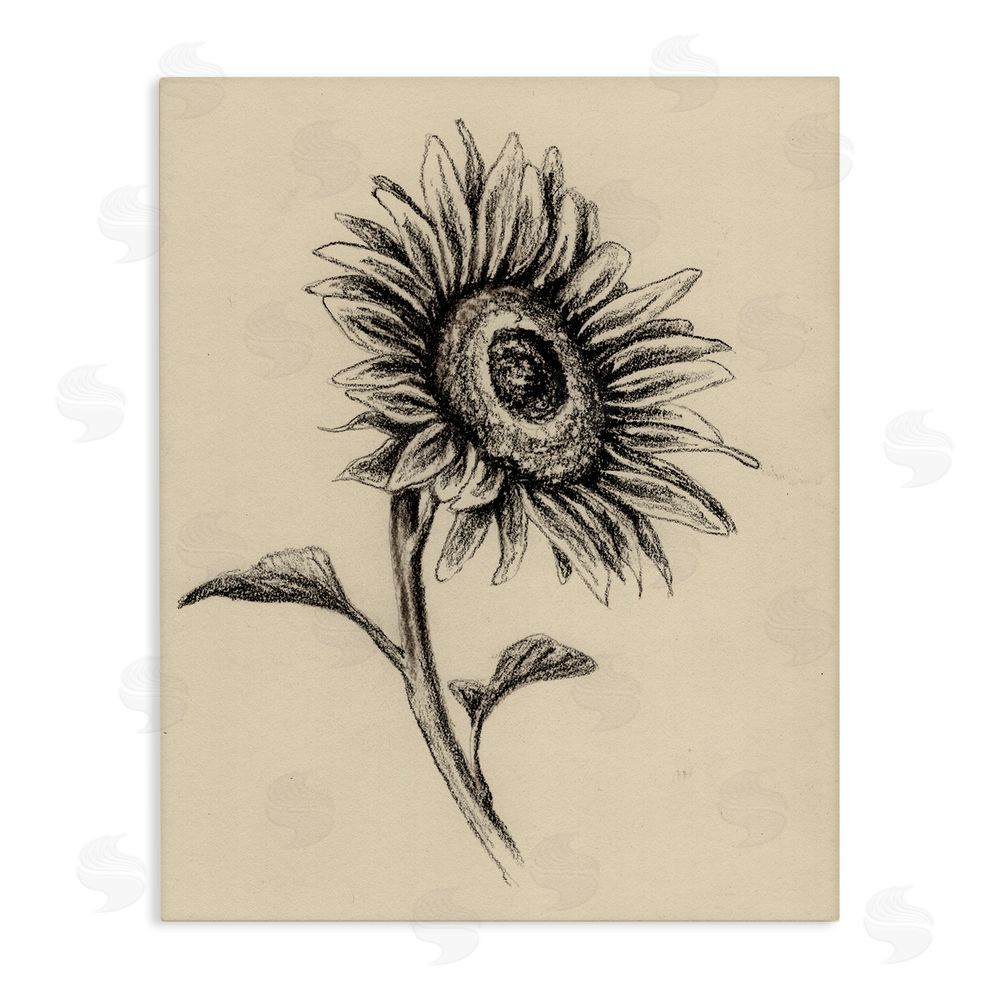 Leah Noel Art Sunflowers in Charcoal Stretched Canvas Wall Art Print