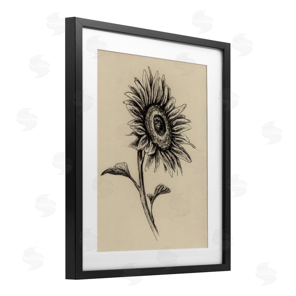 Leah Noel Art Sunflowers in Charcoal Black Framed Print Under Glass Wall Art