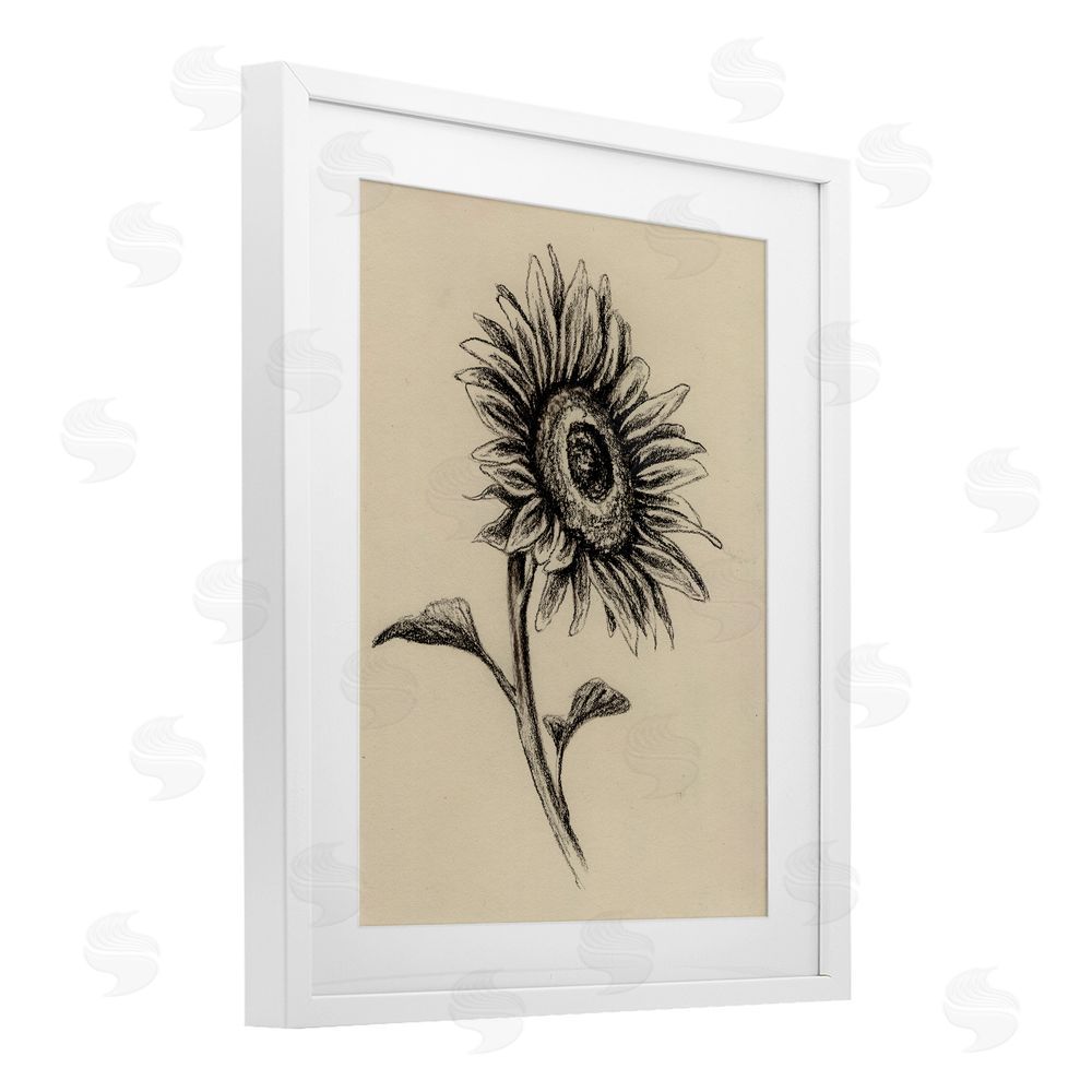 Leah Noel Art Sunflowers in Charcoal White Framed Print Under Glass Wall Art