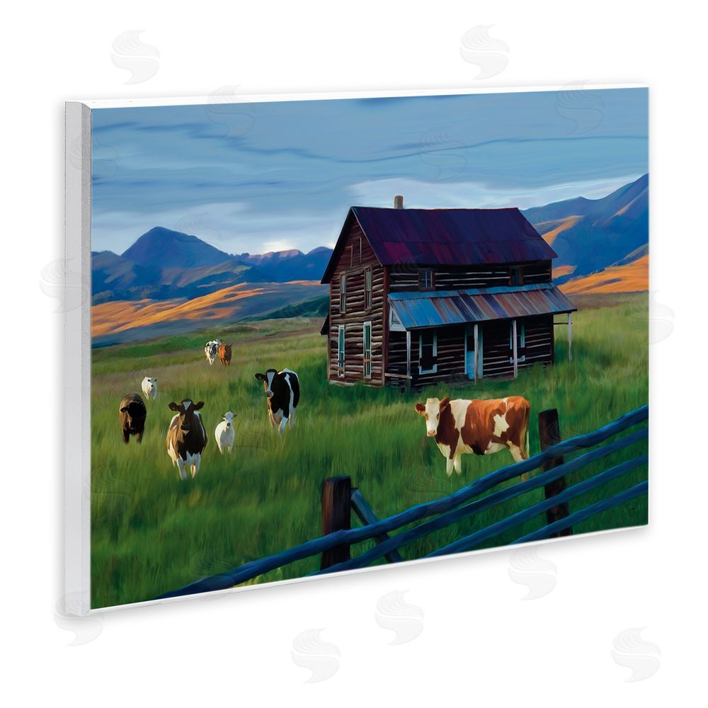 Renel Peters Grazing Cattle at Solitary Cabin Wall Plaque Art Print