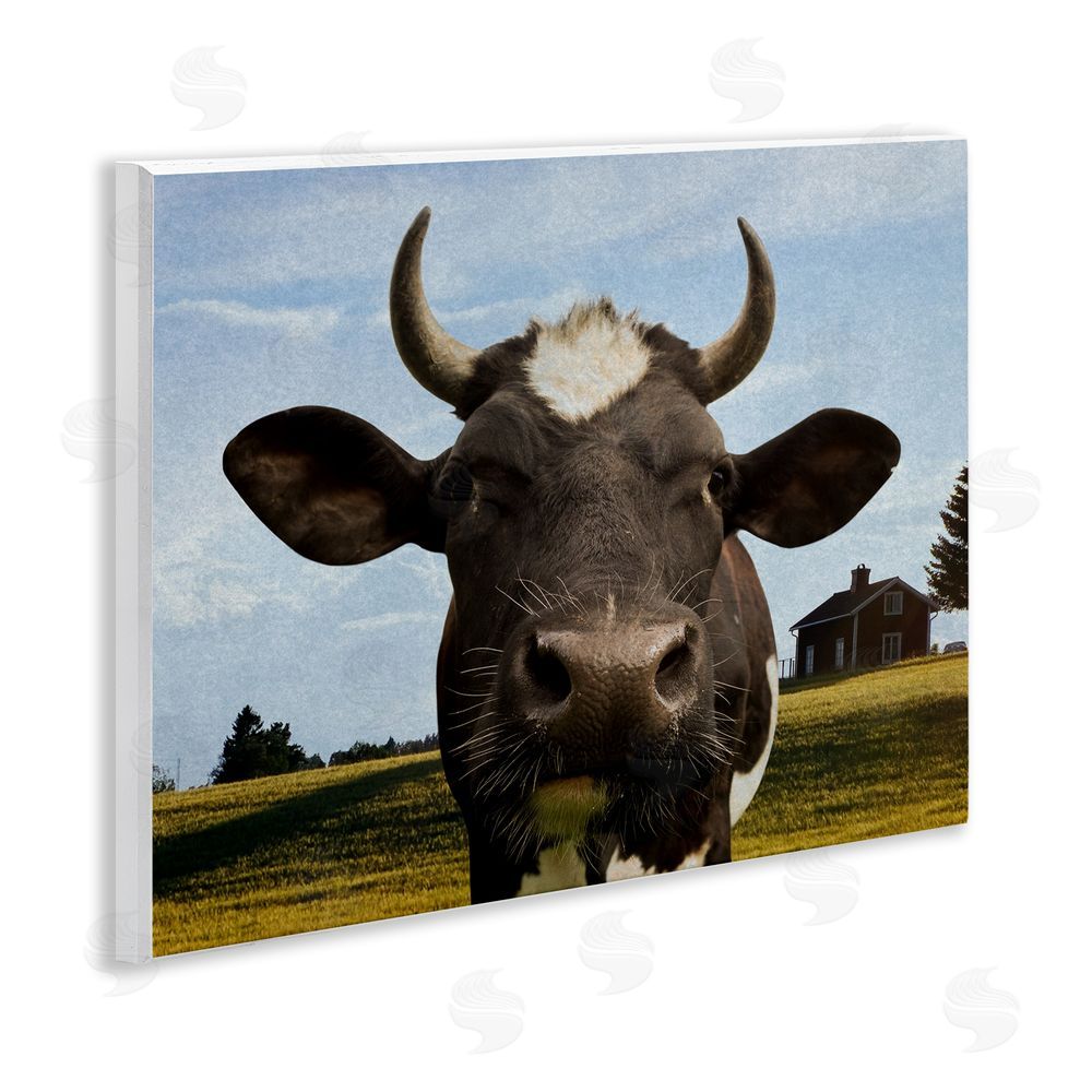 Marcus Prime Farm Cow with Curved Horns Wall Plaque Art Print