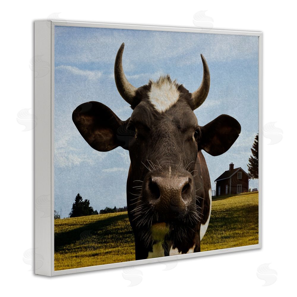 Marcus Prime Farm Cow with Curved Horns White Framed Giclee Wall Art Print