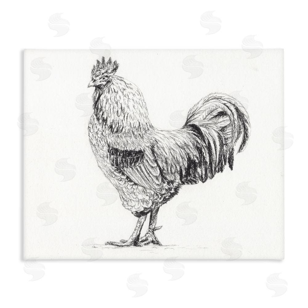 Leah Noel Art Rooster in Charcoal Stretched Canvas Wall Art Print