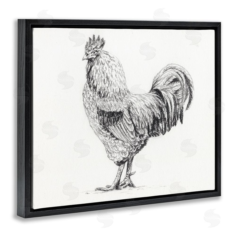 Leah Noel Art Rooster in Charcoal Black Floating Frame Canvas Wall Art Print