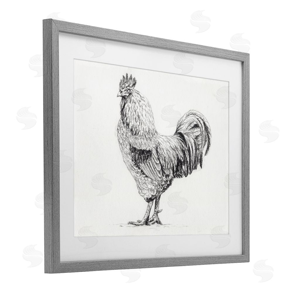 Leah Noel Art Rooster in Charcoal Gray Framed Print Under Glass Wall Art
