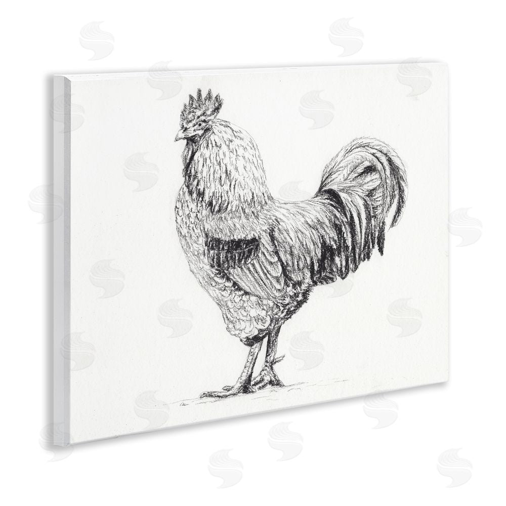 Leah Noel Art Rooster in Charcoal Wall Plaque Art Print