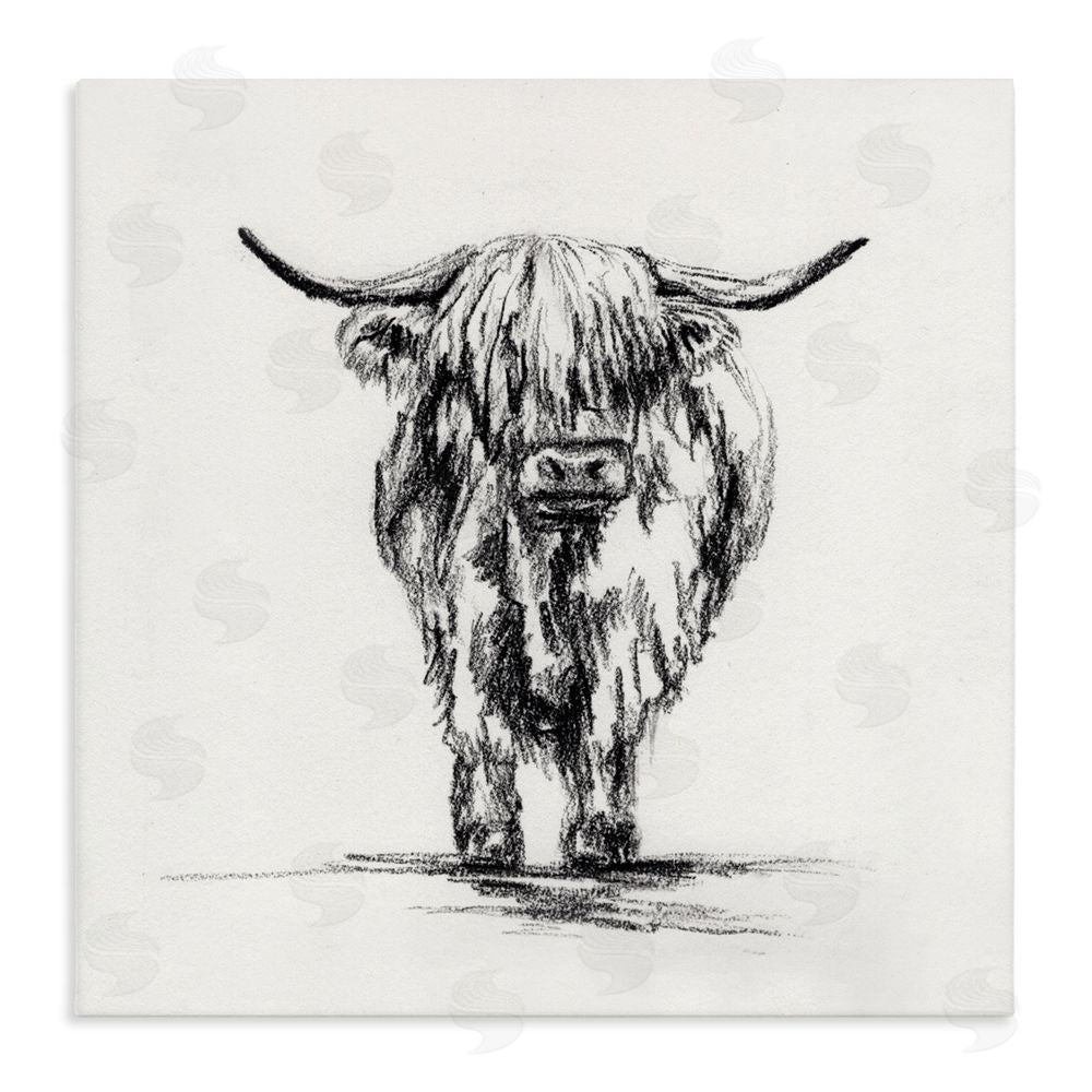 Leah Noel Art Highland Cow in Charcoal Stretched Canvas Wall Art Print