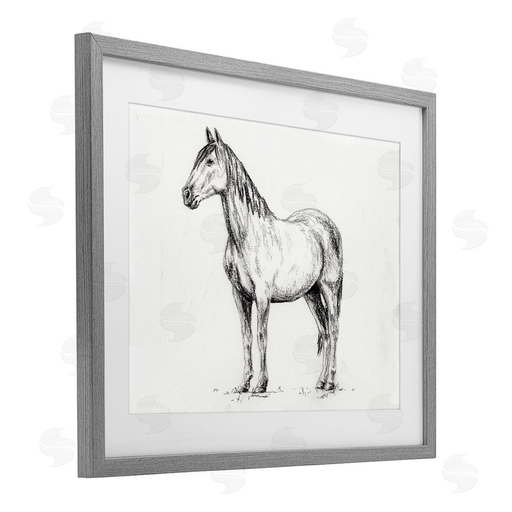 Leah Noel Art Horse In Charcoal Gray Framed Print Under Glass Wall Art