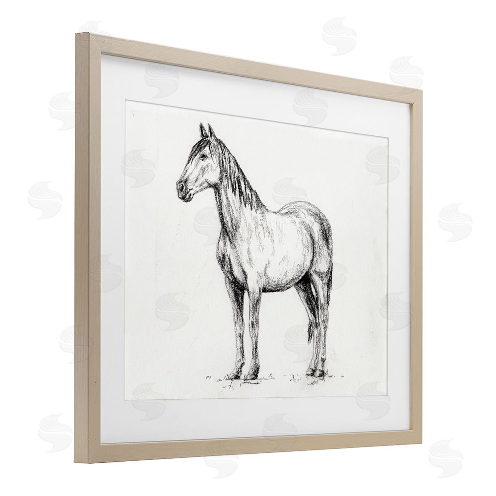Leah Noel Art Horse In Charcoal Birch Framed Print Under Glass Wall Art