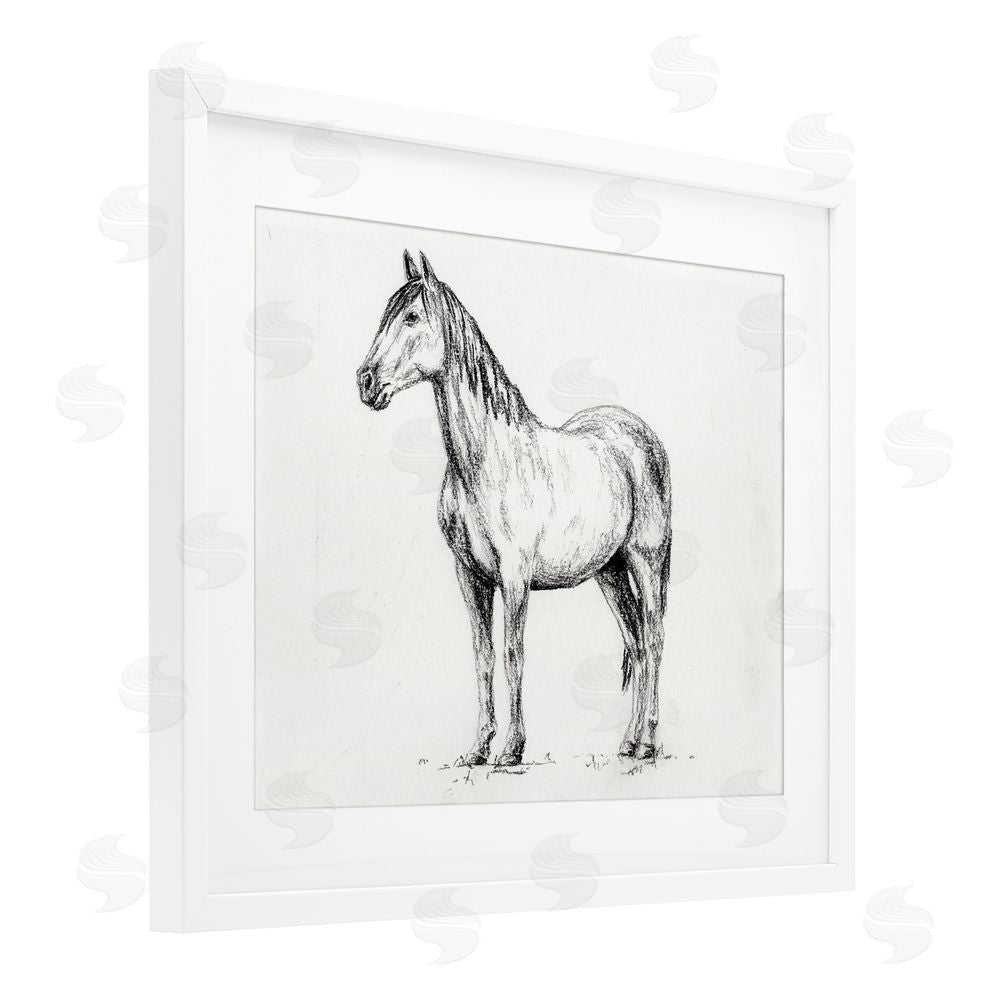 Leah Noel Art Horse In Charcoal White Framed Print Under Glass Wall Art