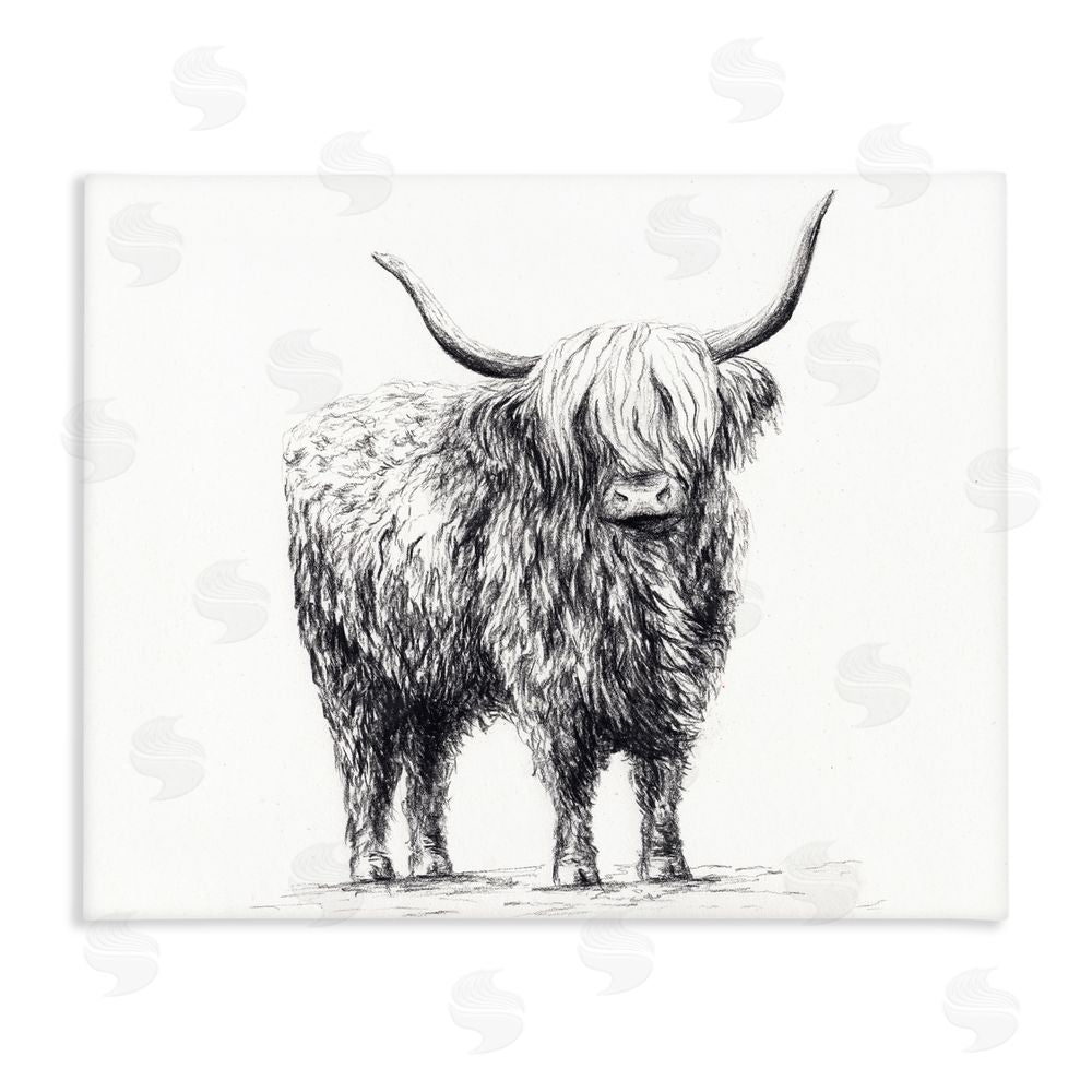 Leah Noel Art Highland Cow in Charcoal Stretched Canvas Wall Art Print