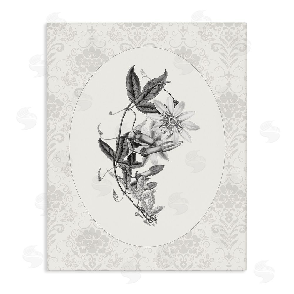 CAD Designs Vintage Botanical & Lace Stretched Canvas Wall Art Print