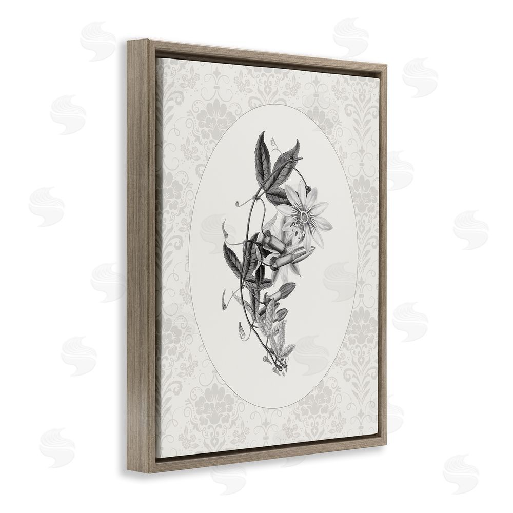 CAD Designs Vintage Botanical & Lace Brown Floating Frame Canvas Wall Art Print