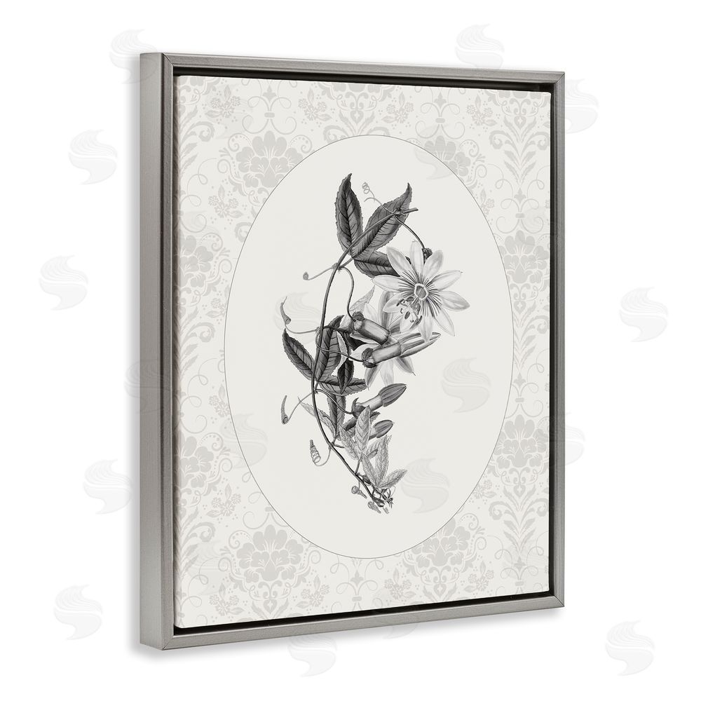 CAD Designs Vintage Botanical & Lace Gray Floating Frame Canvas Wall Art Print