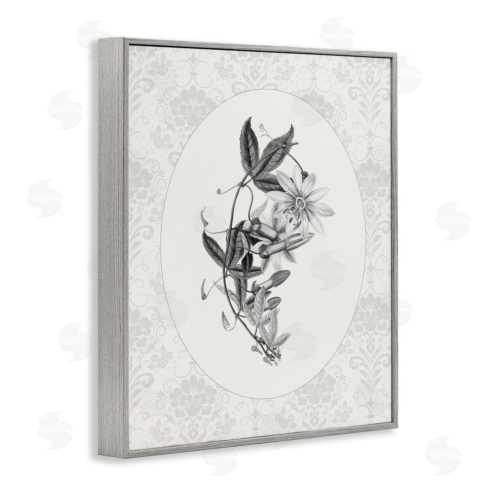 CAD Designs Vintage Botanical & Lace Gray Framed Giclee Wall Art Print