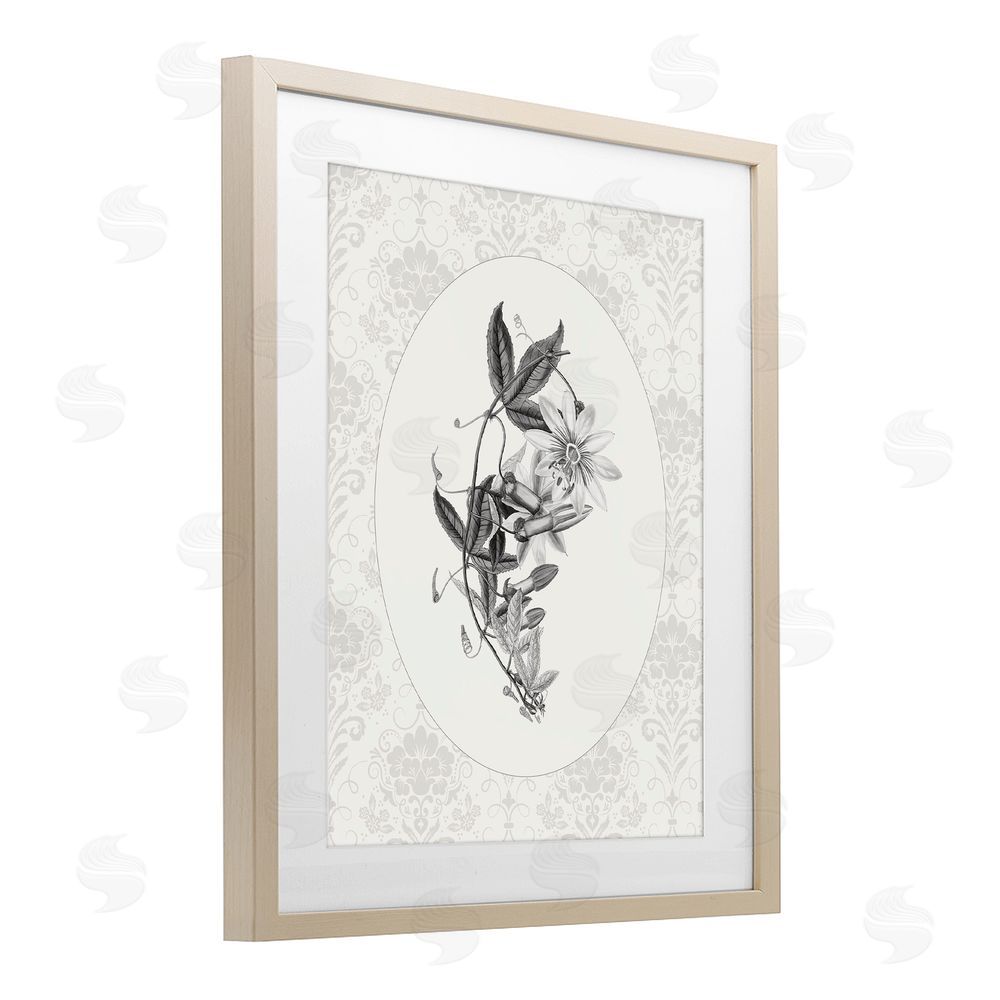 CAD Designs Vintage Botanical & Lace Birch Framed Print Under Glass Wall Art
