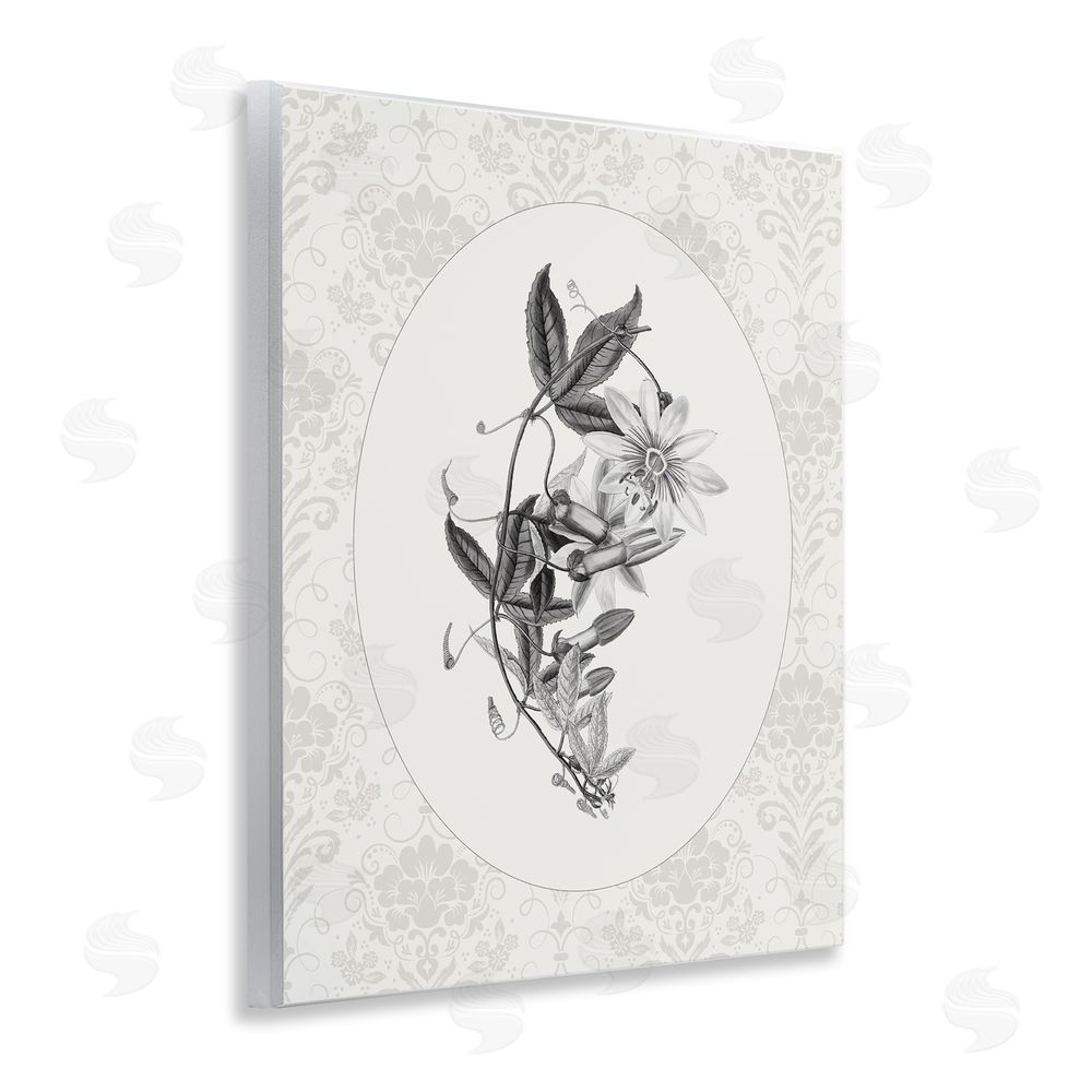 CAD Designs Vintage Botanical & Lace Wall Plaque Art Print