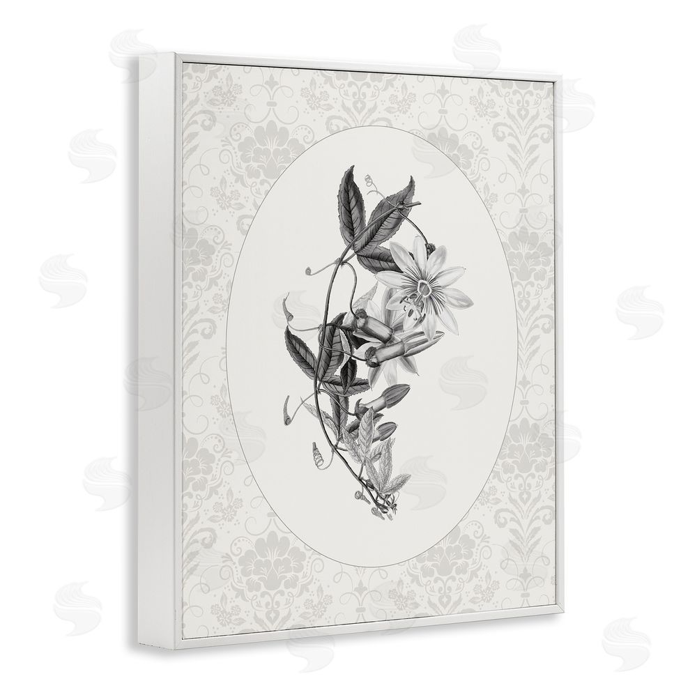 CAD Designs Vintage Botanical & Lace White Framed Giclee Wall Art Print
