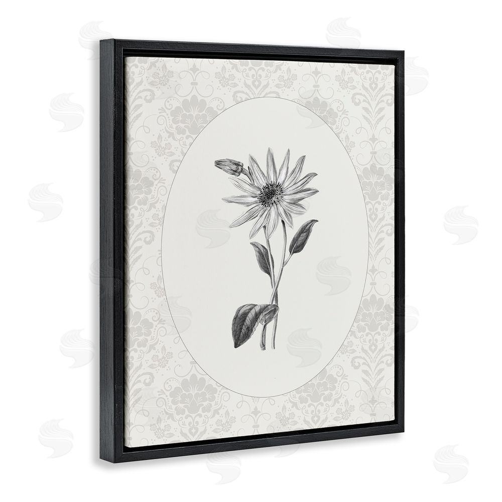 CAD Designs Antique Botanical & Lace Black Floating Frame Canvas Wall Art Print
