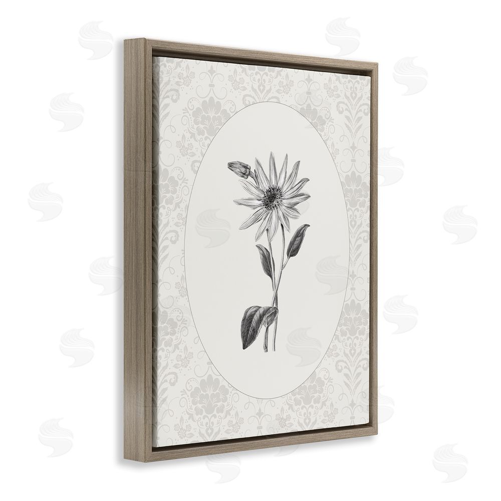 CAD Designs Antique Botanical & Lace Brown Floating Frame Canvas Wall Art Print
