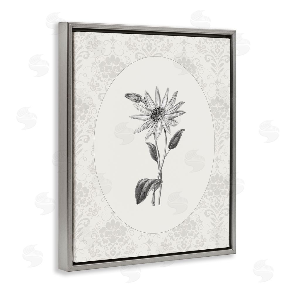 CAD Designs Antique Botanical & Lace Gray Floating Frame Canvas Wall Art Print