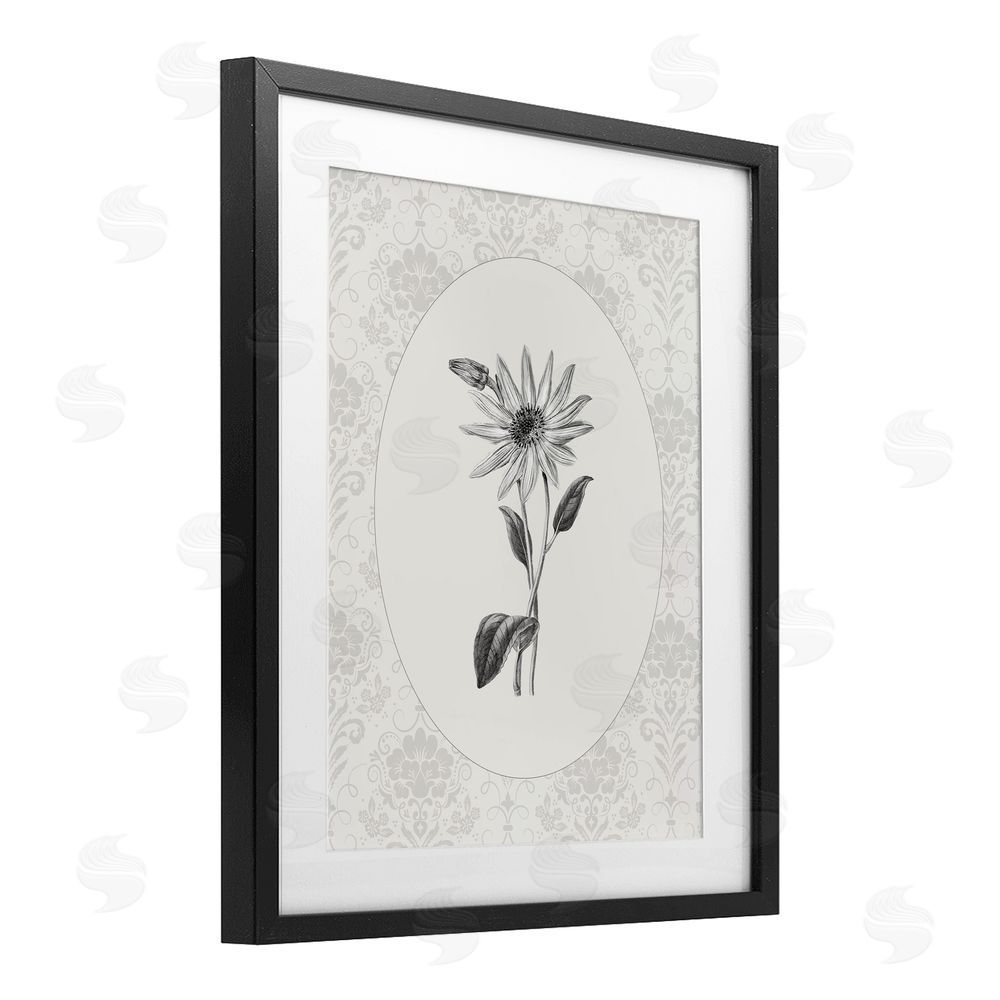CAD Designs Antique Botanical & Lace Black Framed Print Under Glass Wall Art