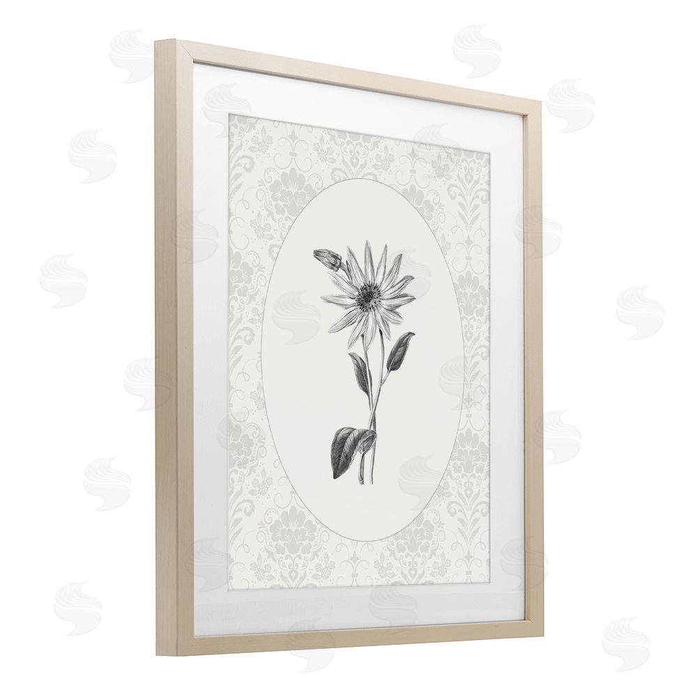 CAD Designs Antique Botanical & Lace Birch Framed Print Under Glass Wall Art
