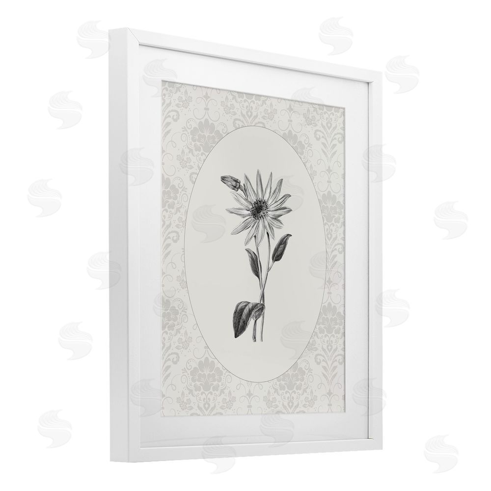 CAD Designs Antique Botanical & Lace White Framed Print Under Glass Wall Art