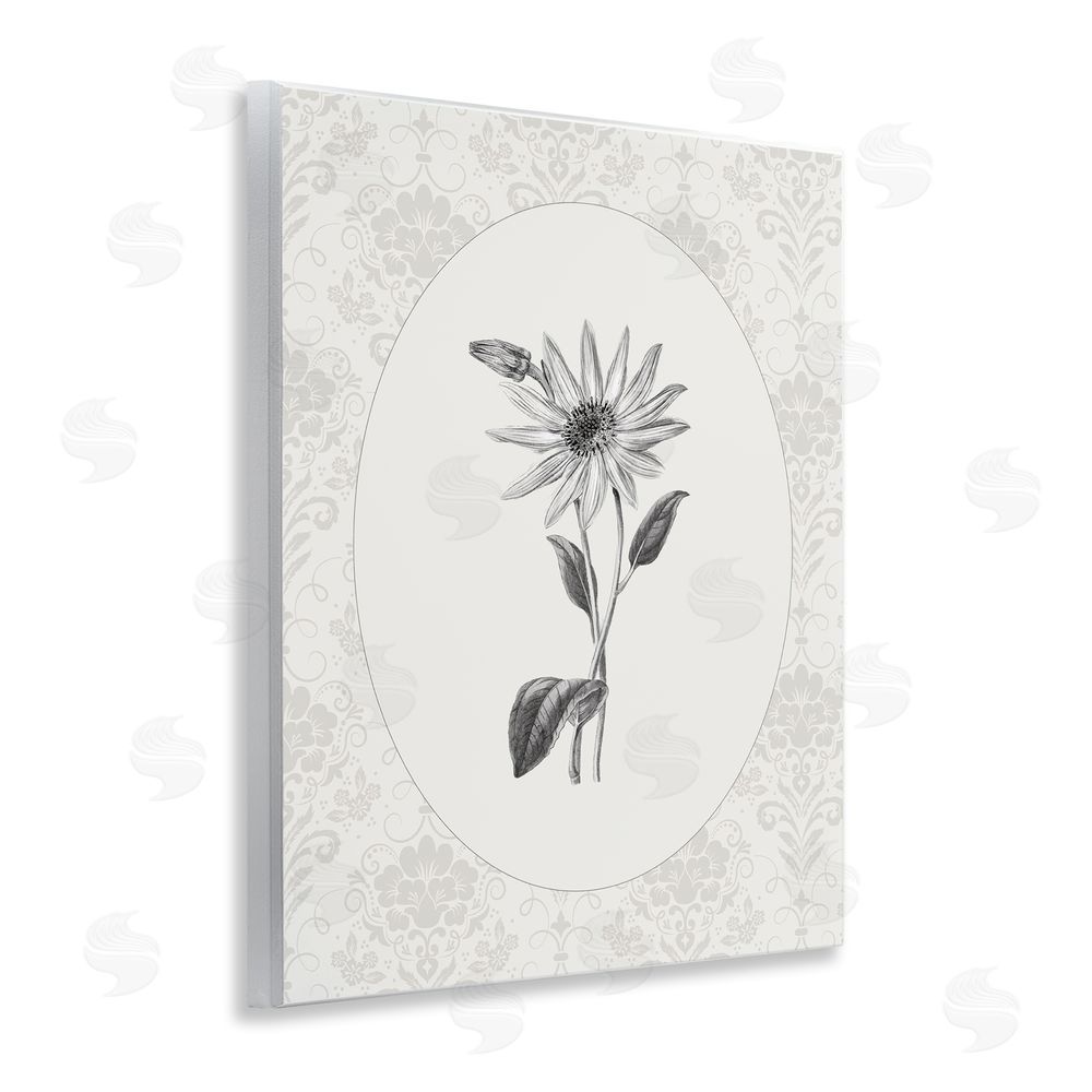 CAD Designs Antique Botanical & Lace Wall Plaque Art Print