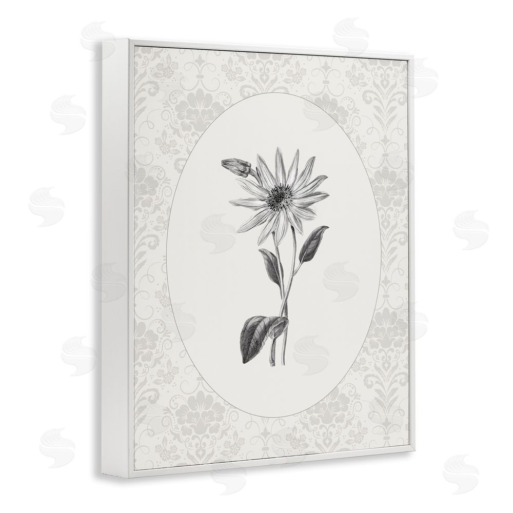 CAD Designs Antique Botanical & Lace White Framed Giclee Wall Art Print