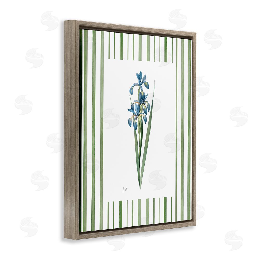 Nan Spring Irises with Stripes Brown Floating Frame Canvas Wall Art Print